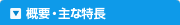 概要・主な特長